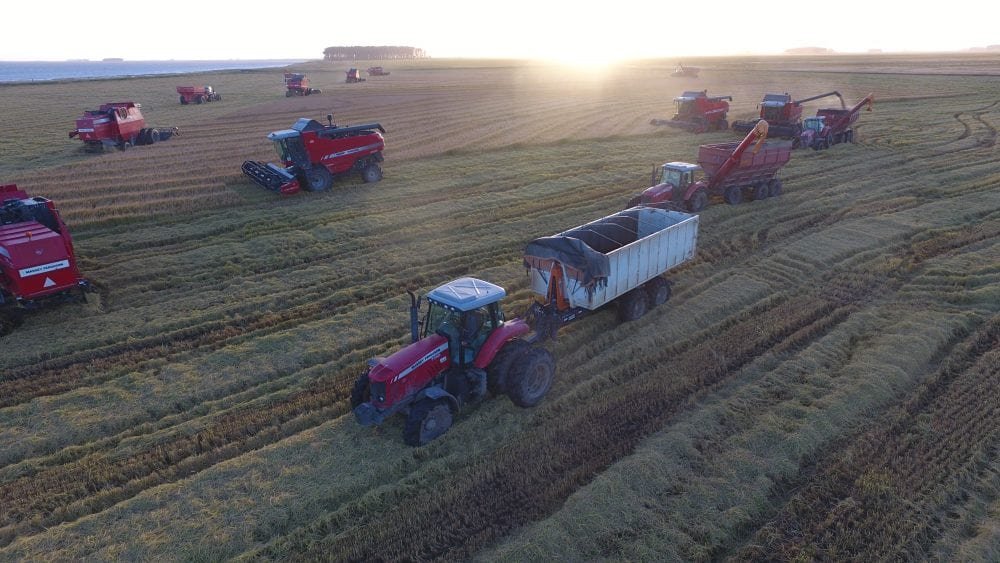 Roll On Roll Off Agro