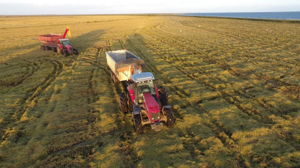 Roll On Roll Off Agro