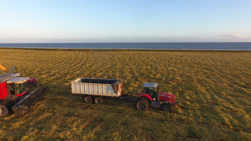tecnologias na produção de arroz